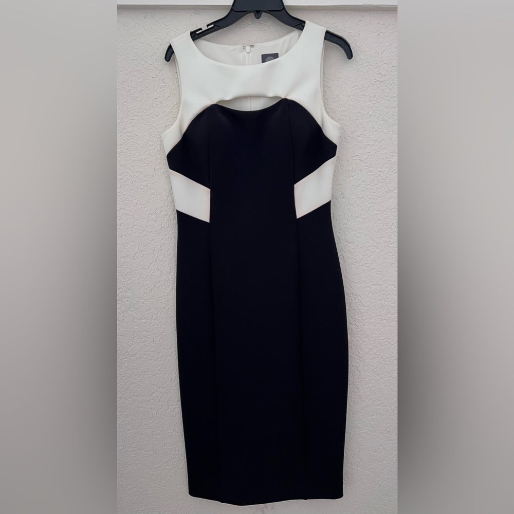 Sleeveless professional dress